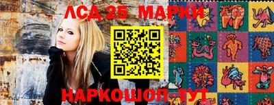a pvp Тула