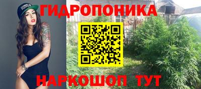 a pvp Тула