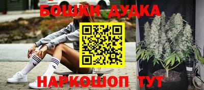 a pvp Тула