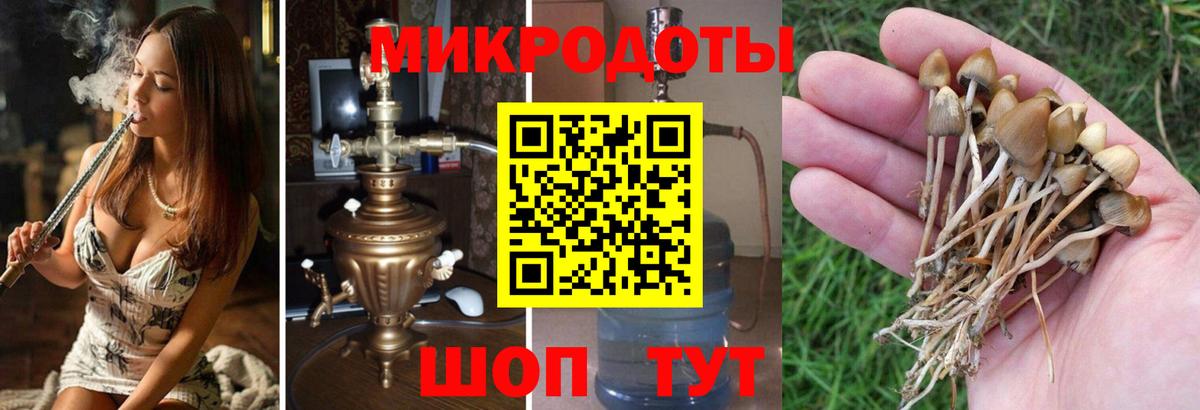 Псилоцибиновые грибы Magic Shrooms  Вход с VPN  Отрадное 